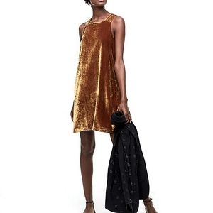 Loft velvet dress